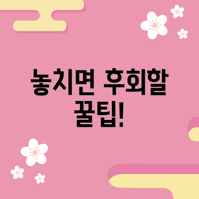 놓치면 후회할 꿀팁!