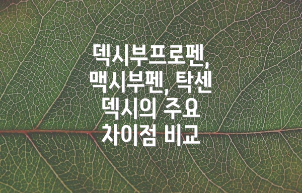 덱시부프로펜, 맥시부펜, 탁센 덱시의 주요 차이점 비교