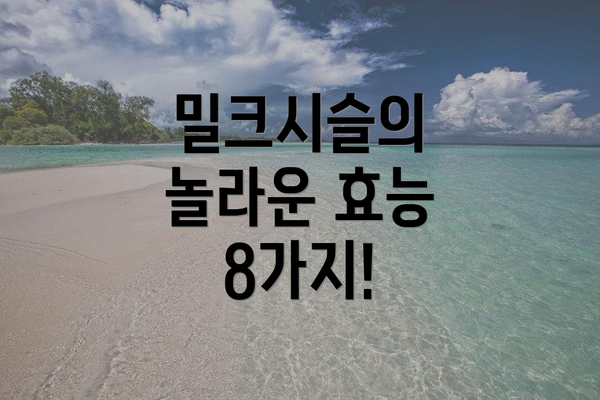 밀크시슬의 놀라운 효능 8가지!