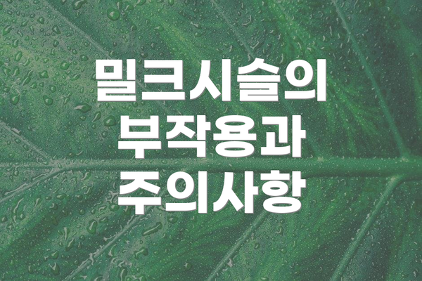 밀크시슬의 부작용과 주의사항