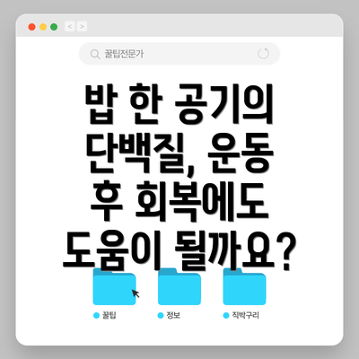 밥 한 공기의 단백질, 운동 후 회복에도 도움이 될까요?