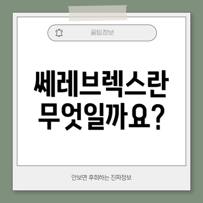 쎄레브렉스란 무엇일까요?