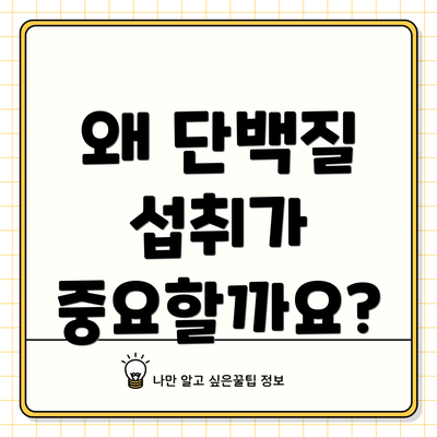 왜 단백질 섭취가 중요할까요?