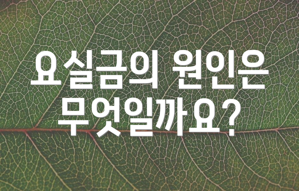 요실금의 원인은 무엇일까요?