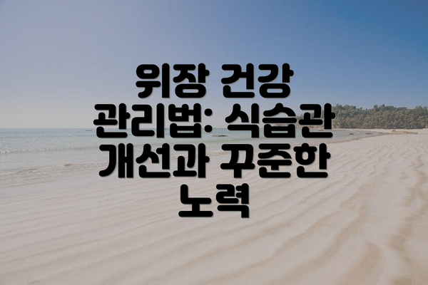 위장 건강 관리법: 식습관 개선과 꾸준한 노력