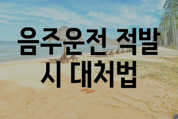 음주운전 적발 시 대처법