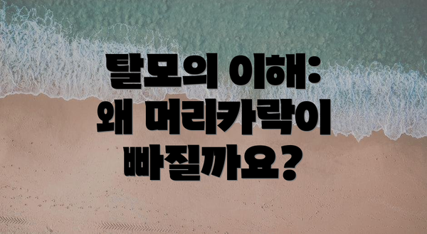 탈모의 이해: 왜 머리카락이 빠질까요?