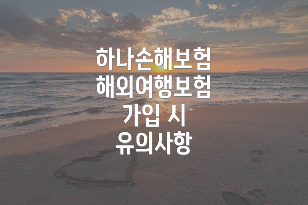 하나손해보험 해외여행보험 가입 시 유의사항