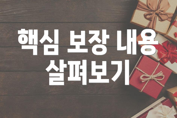 핵심 보장 내용 살펴보기