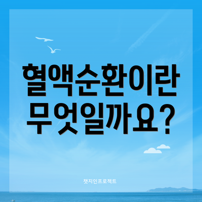 혈액순환이란 무엇일까요?