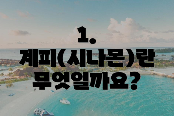 1. 계피(시나몬)란 무엇일까요?