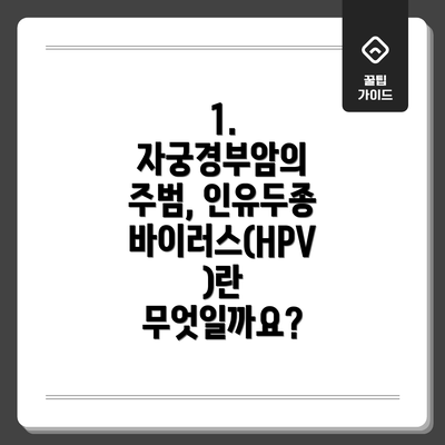 1. 자궁경부암의 주범, 인유두종바이러스(HPV)란 무엇일까요?