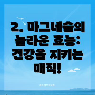 2. 마그네슘의 놀라운 효능: 건강을 지키는 매직!