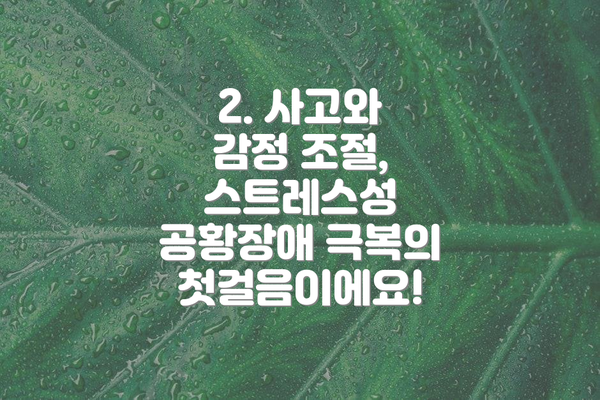 2. 사고와 감정 조절, 스트레스성 공황장애 극복의 첫걸음이에요!