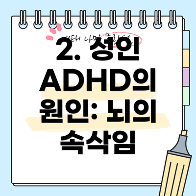 2. 성인 ADHD의 원인: 뇌의 속삭임