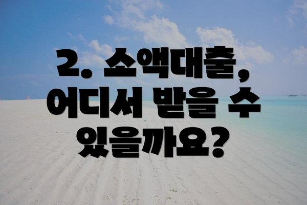 2. 소액대출, 어디서 받을 수 있을까요?