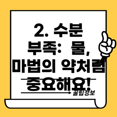 2. 수분 부족:  물, 마법의 약처럼 중요해요!