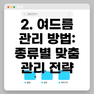 2. 여드름 관리 방법: 종류별 맞춤 관리 전략