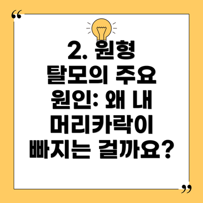 2. 원형 탈모의 주요 원인: 왜 내 머리카락이 빠지는 걸까요?
