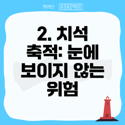 2. 치석 축적: 눈에 보이지 않는 위험