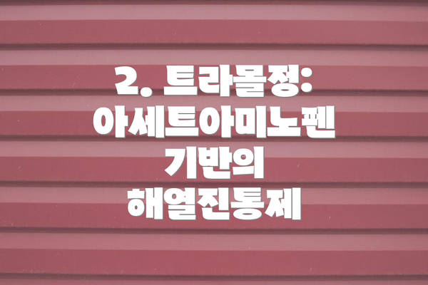 2. 트라몰정: 아세트아미노펜 기반의 해열진통제