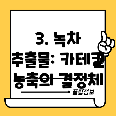 3. 녹차 추출물: 카테킨 농축의 결정체