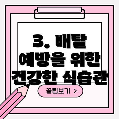 3. 배탈 예방을 위한 건강한 식습관