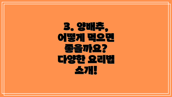 3. 양배추, 어떻게 먹으면 좋을까요?  다양한 요리법 소개!