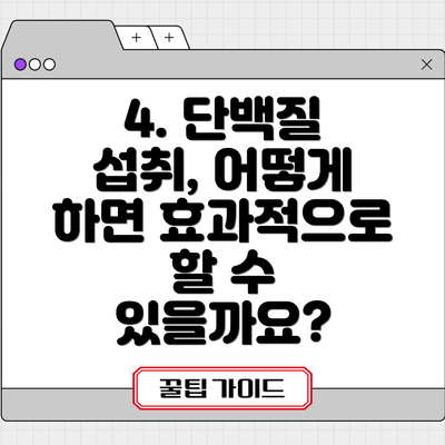 4. 단백질 섭취, 어떻게 하면 효과적으로 할 수 있을까요?