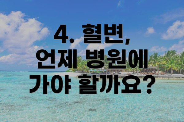 4. 혈변, 언제 병원에 가야 할까요?