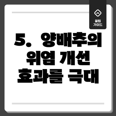 5.  양배추의 위염 개선 효과를 극대
