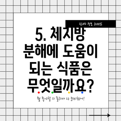 5. 체지방 분해에 도움이 되는 식품은 무엇일까요?