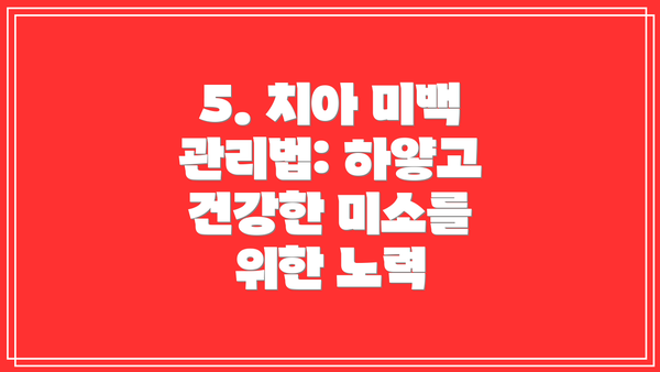 5. 치아 미백 관리법: 하얗고 건강한 미소를 위한 노력