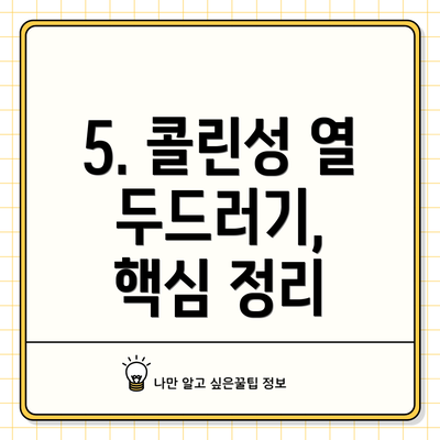 5. 콜린성 열 두드러기,  핵심 정리