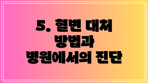 5. 혈변 대처 방법과 병원에서의 진단
