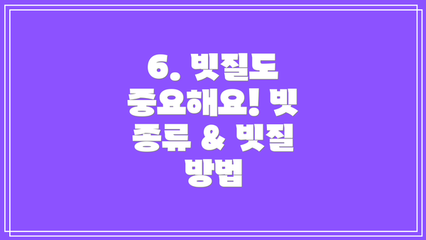 6. 빗질도 중요해요! 빗 종류 & 빗질 방법