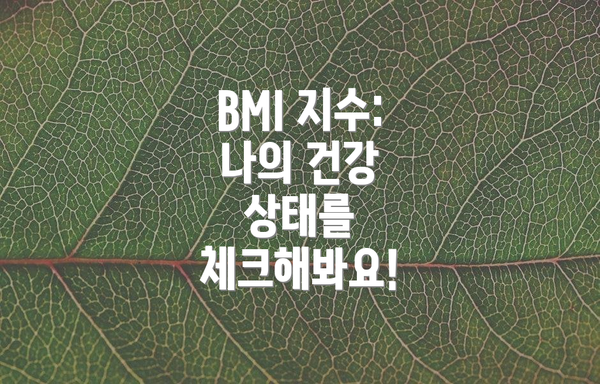 BMI 지수:  나의 건강 상태를 체크해봐요!