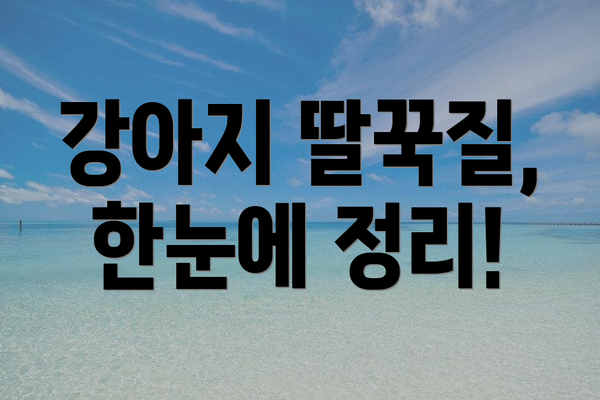 강아지 딸꾹질, 한눈에 정리!