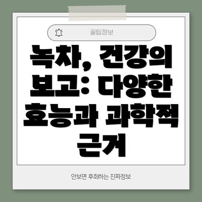 녹차, 건강의 보고: 다양한 효능과 과학적 근거