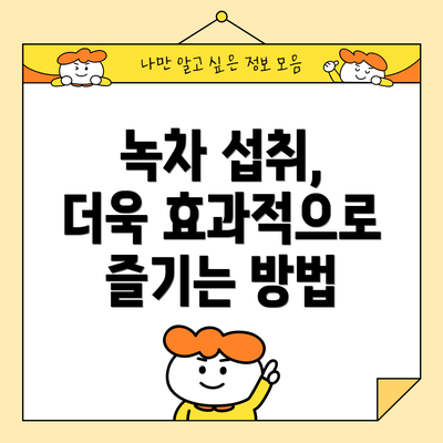 녹차 섭취, 더욱 효과적으로 즐기는 방법