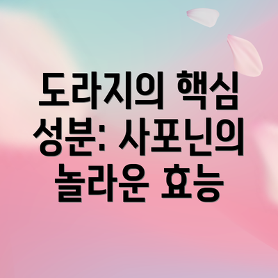 도라지의 핵심 성분: 사포닌의 놀라운 효능