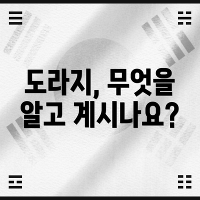 도라지, 무엇을 알고 계시나요?