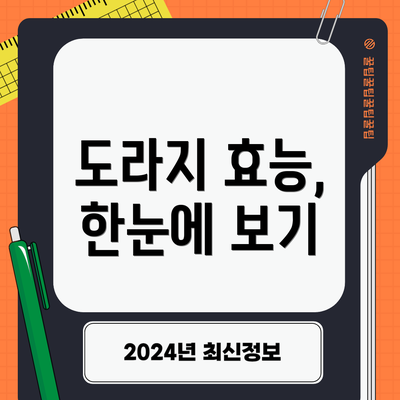 도라지 효능, 한눈에 보기