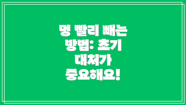 멍 빨리 빼는 방법: 초기 대처가 중요해요!