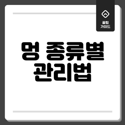 멍 종류별 관리법