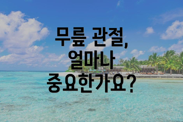 무릎 관절, 얼마나 중요한가요?
