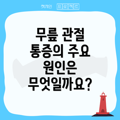 무릎 관절 통증의 주요 원인은 무엇일까요?