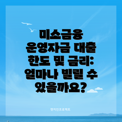 미소금융 운영자금 대출 한도 및 금리: 얼마나 빌릴 수 있을까요?