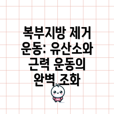 복부지방 제거 운동: 유산소와 근력 운동의 완벽 조화