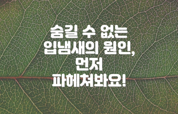 숨길 수 없는 입냄새의 원인, 먼저 파헤쳐봐요!